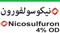 Nicosulfuron 4% OD