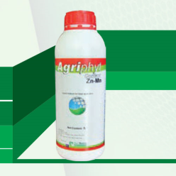 Agriphyt Contact Zn-Mn