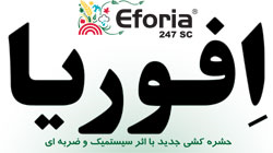EFORIA 247 SC