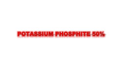 Potassium Phosphite 50 %