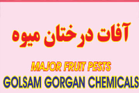 Major Fruit Pests